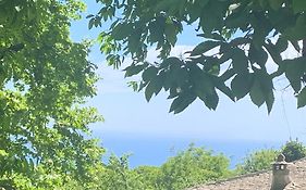 Όμορφος χώρος μέσα στο πράσινο με θέα στο Αιγαίο